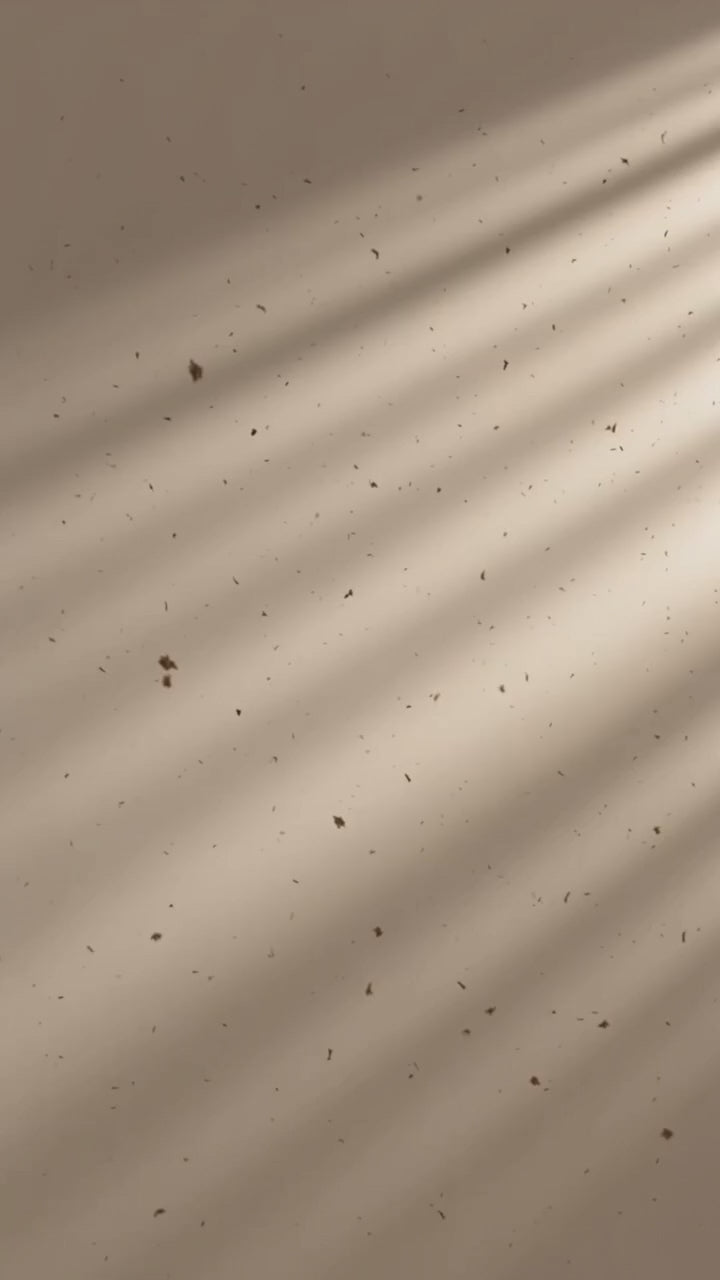 Volta humidifier